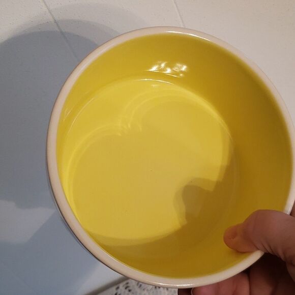 EUC Rae Dunn Pet Bowl / Pet Dish - "NIBBLE" - Picture 4 of 6